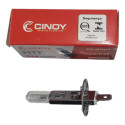 Lâmpada Halogena Comun 12v 55w H1 Cinoy