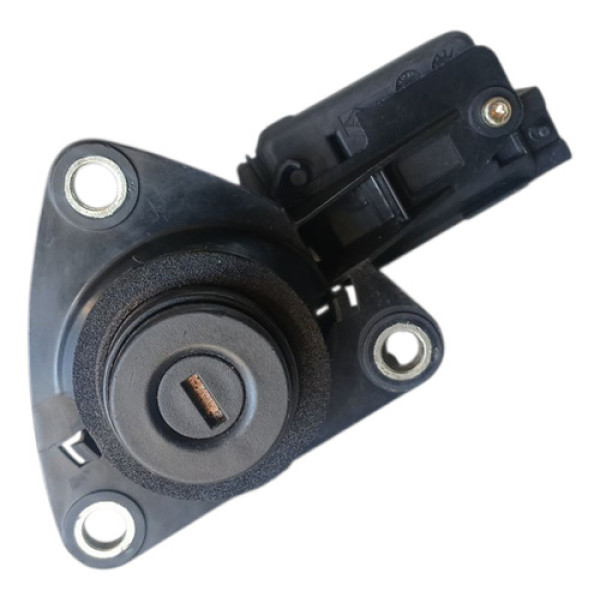 Miolo Fechadura Tampa Traseira Duster 12/15 Sem Chave