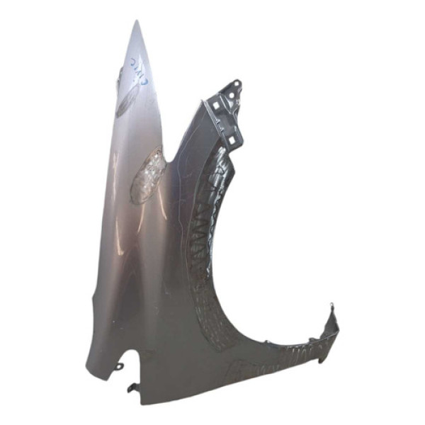 Paralama Dianteiro New Civic 2012 2015 Ld (recuperado)