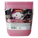 Aditivo Radiador Original Concentrado Organico 5l Etaniz