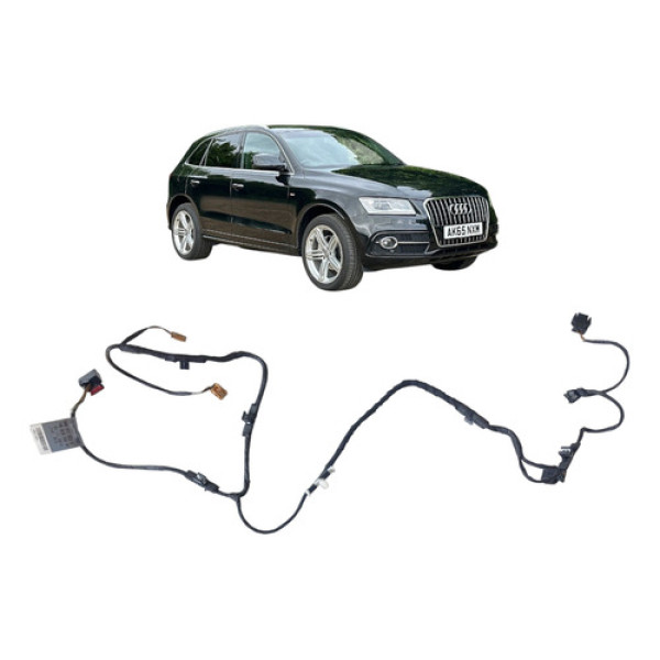 Chicote Forro Porta Traseira Esquerda Audi Q5 2015 Preto