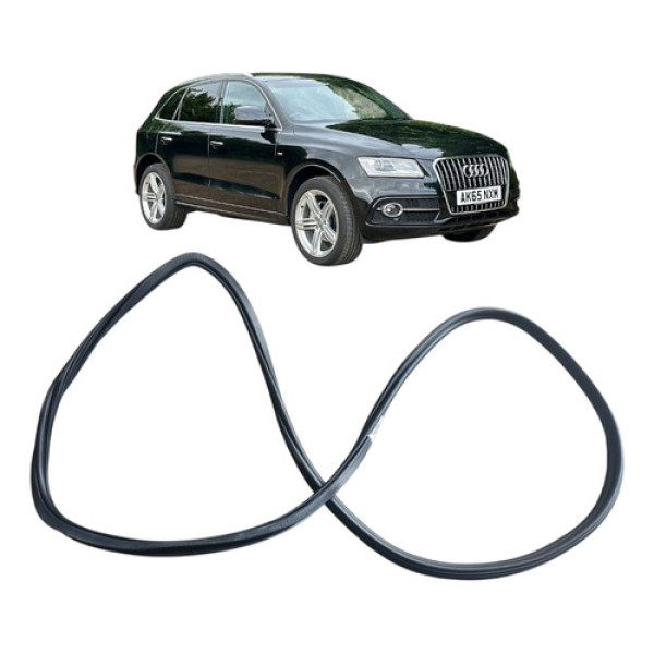 Borracha Porta Traseira Direita Audi Q5 2015