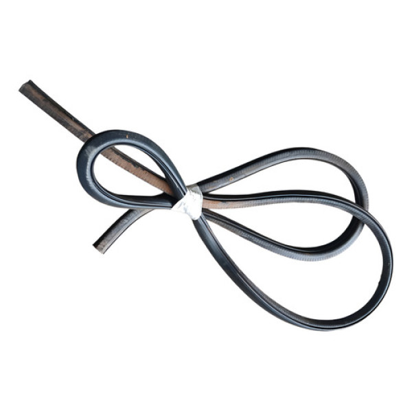 Borracha Porta Traseira Esquerda Ford Focus 2006 Preto