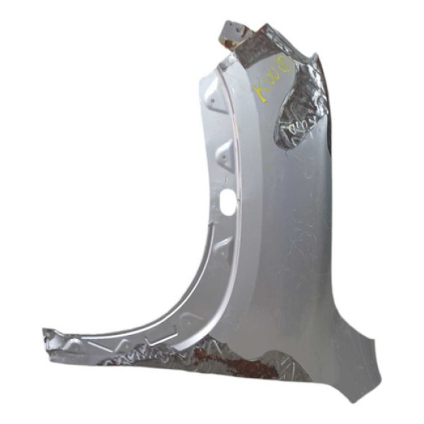 Paralama Esquerdo Renault Kwid Orig 631019761r(recuperado)