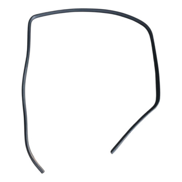 Borracha Vedação Porta Dianteira Direita Ford Focus 2006