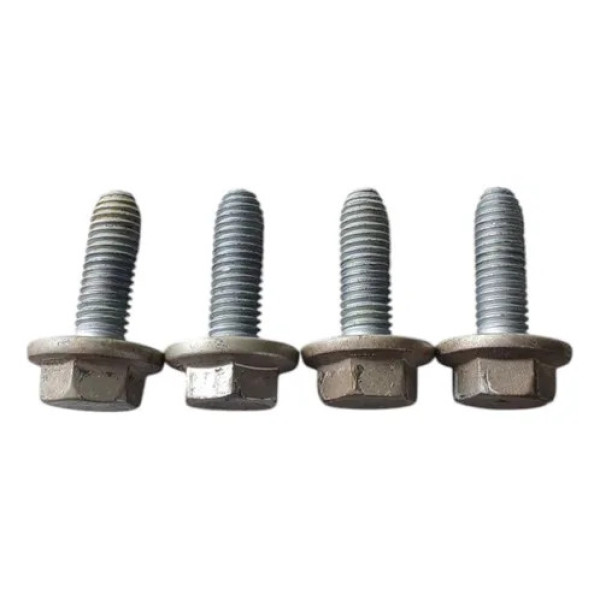 Parafusos Dobradiças Porta Dianteira L.d Peugeot 307 2011