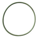 Anel Vedação Bomba Combustível Gm Cobalt Onix Prisma 15 Verde-claro