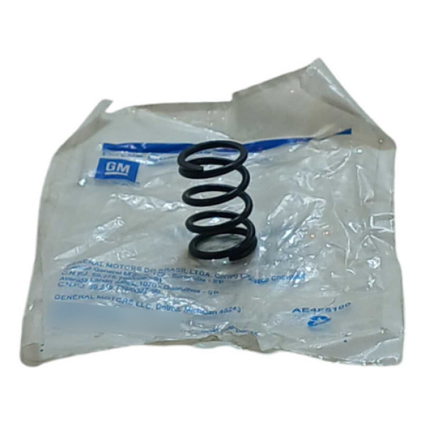 Mola Dobradiça Do Banco Traseiro Gm 13307194 Preto