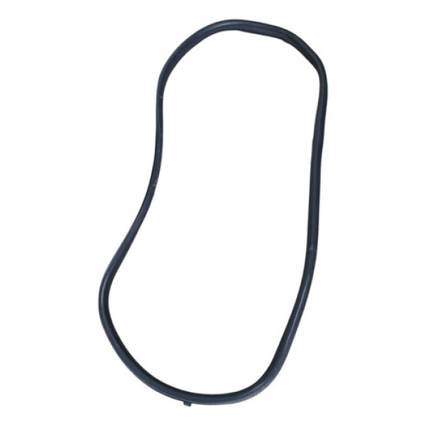 Borracha De Porta Traseira Esquerda Renault Captur 18/19 