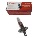 Lâmpada Halogena Comun 12v 55w H1 Cinoy